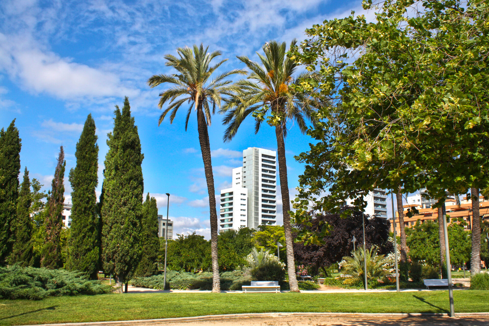 Torrente,,Valencia,,Spain;,June,12,2019:,Views,Of,The,Park